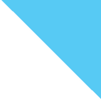 White/Ion Blue
