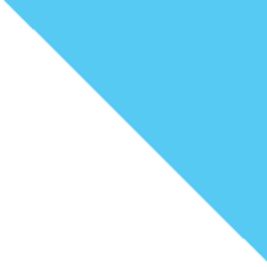 White/Ion Blue